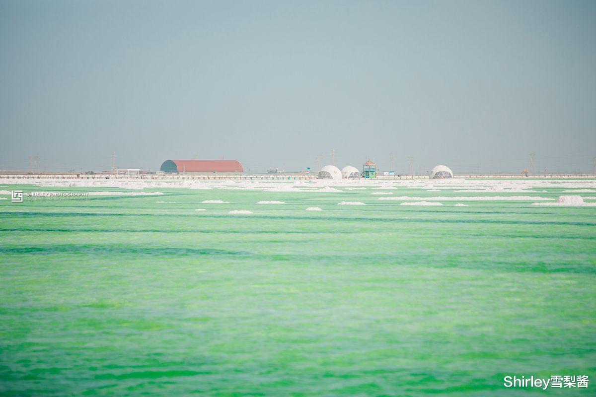 察尔汗盐湖|面积接近上海的中国第一盐湖，盐储量可供全球食用1000年，预估身价超12万亿