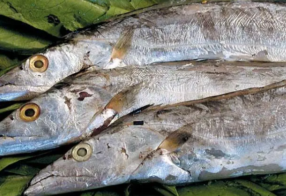 |买带鱼，要分清“黄眼睛”和“黑眼睛”，差别有点大，弄懂不吃亏