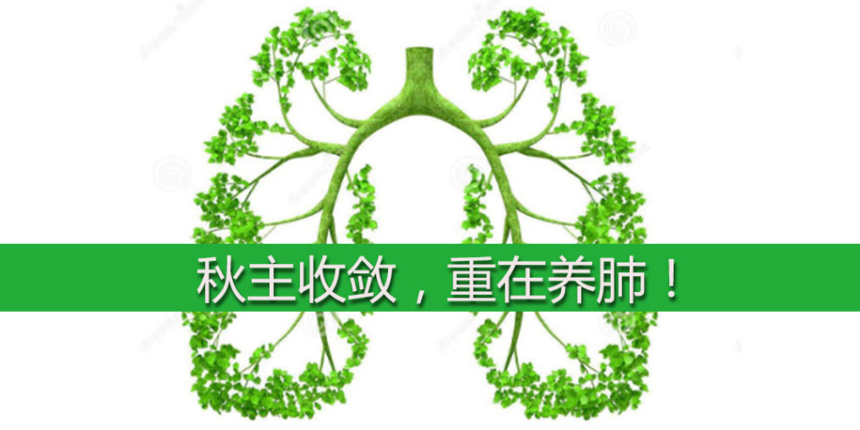 秋季养生,养肺是关键!提醒:肺喜欢“5白”,秋季不妨经常吃