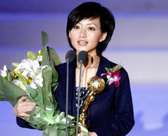 柴静|从“公知女神”到“跌落神坛”,柴静到底做了什么?