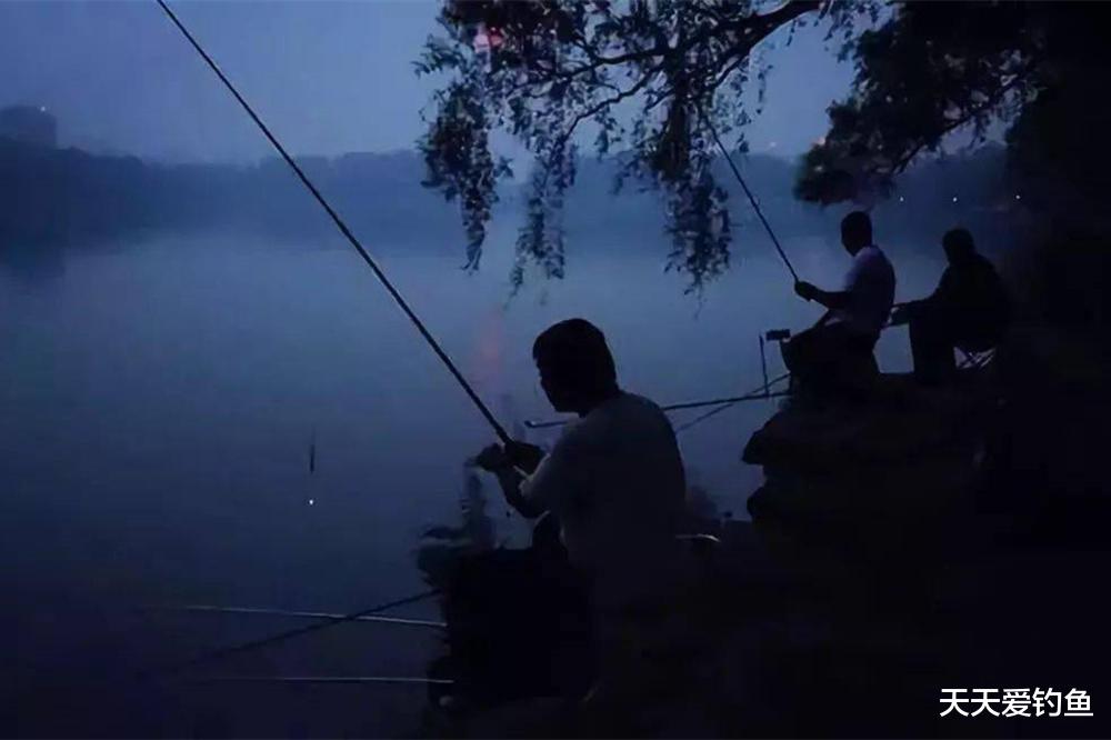 鱼竿|钓鱼不钓草,未必瞎胡跑!夏季钓草4不钓