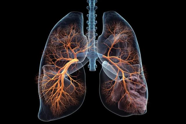 人被拿掉哪些器官不会死?身体的6个“无用”器官,你知道几个