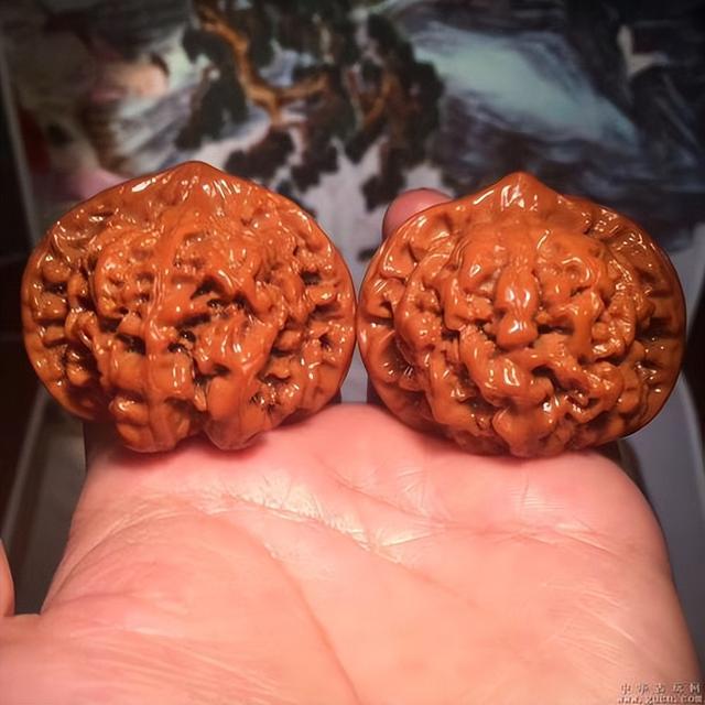 碧玺|别再难为自己，文玩核桃的品种虽然多，我只认这4种！