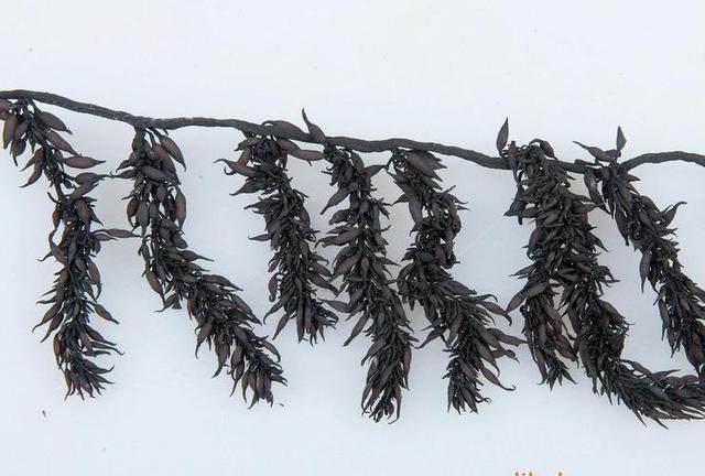 红薯|我国瞧不上的“野菜”,却被日本大量进口,还称其为“长寿菜”?