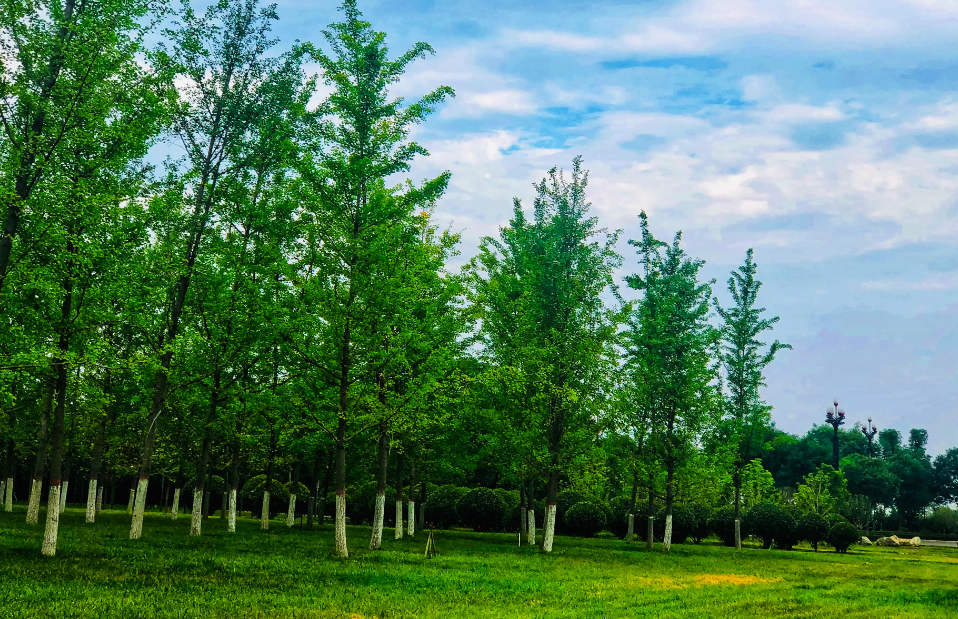 |旅行的意义，从来不在于目的地，而在于那沿途的风景和看风景的心情