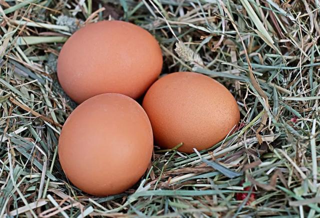 经常吃水煮蛋，是养肝还是伤肝？提醒：吃鸡蛋需牢记3点