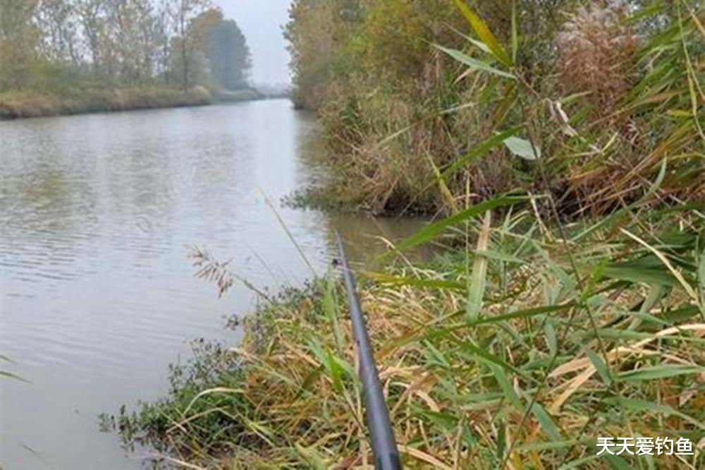 秋季野钓有这6钓，常用这些招数，想不爆护都难
