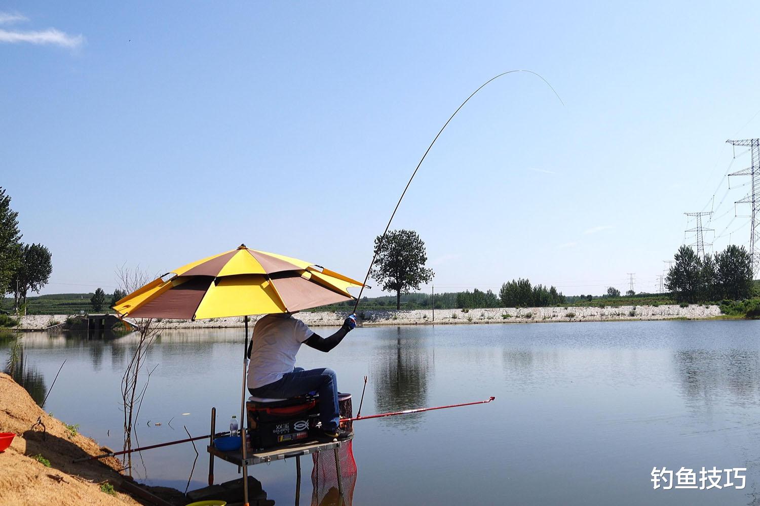 |夏季钓鱼的4句口诀，无论野钓还是黑坑都有效