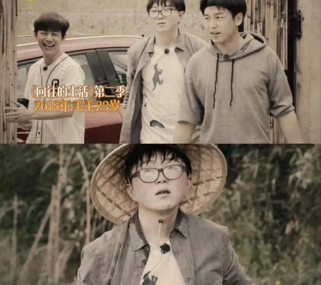 何炅|原来毛毛已经来蘑菇屋5次了,向往何尝不是陪伴我们长大呢