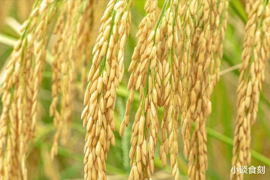 重阳节|“双九五不收,到头一场空”,九九重阳节,5不收指啥?抓紧看看