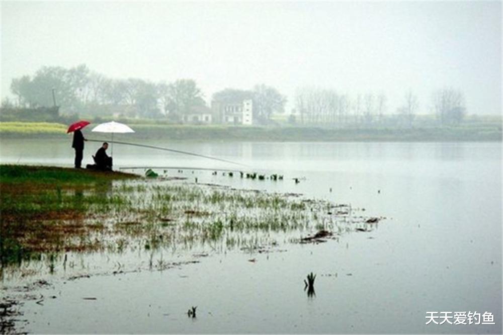 鲫鱼|春季野钓鲫鱼,大鲫鱼没碰上几条?原因主要有3条