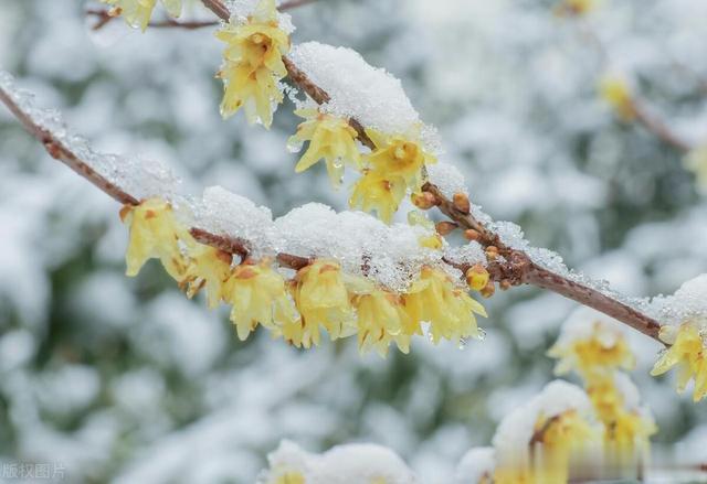海绵体要想振奋，补阳是下策，通阳才是上策，这个逻辑正确吗？