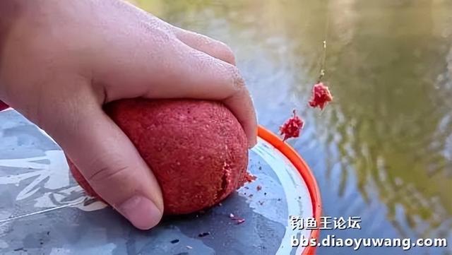 饵料|钓鱼王新款饵料“红虫”搭配今晚吃鱼，爽钓小鲫鱼