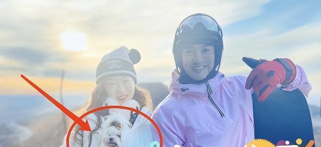 有种“反噬”叫杜江和霍思燕,翻红8年后,善恶报应全都应验了!