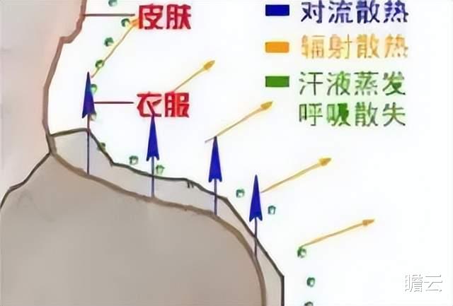 中暑|既然人的体温为 37℃，为什么在 35℃ 的气温下，会觉得很热？