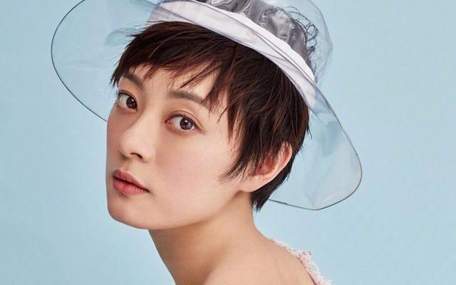 娱乐大爆料:王一博、杨紫、李沁、王大陆、孙俪、关晓彤