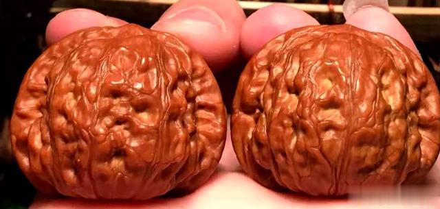 凤凰山|100种文玩核桃品种分享之86：凤凰山狮子头