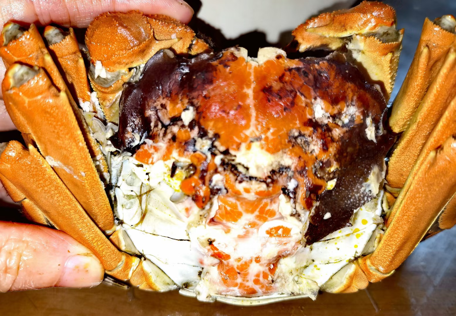 大闸蟹|这大闸蟹够大够肥