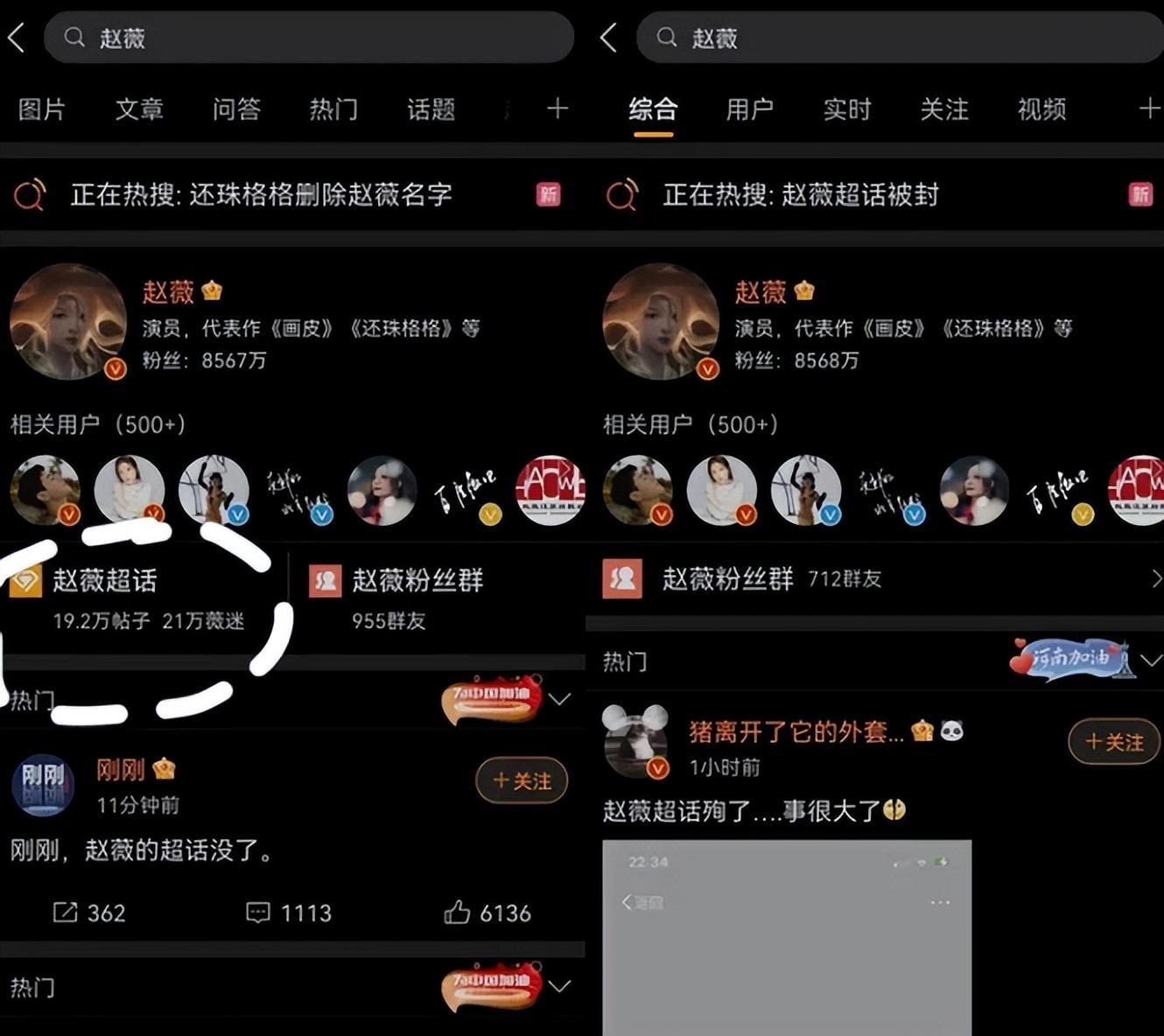 又见双面人！她是“精日分子”，出名后试图删除言论建立完美人设