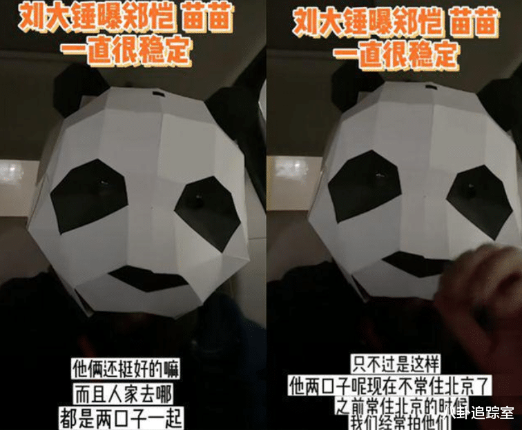 苗苗|郑恺节目发牢骚,疑不满苗苗娘家4口住家里,被传跑上海租房住