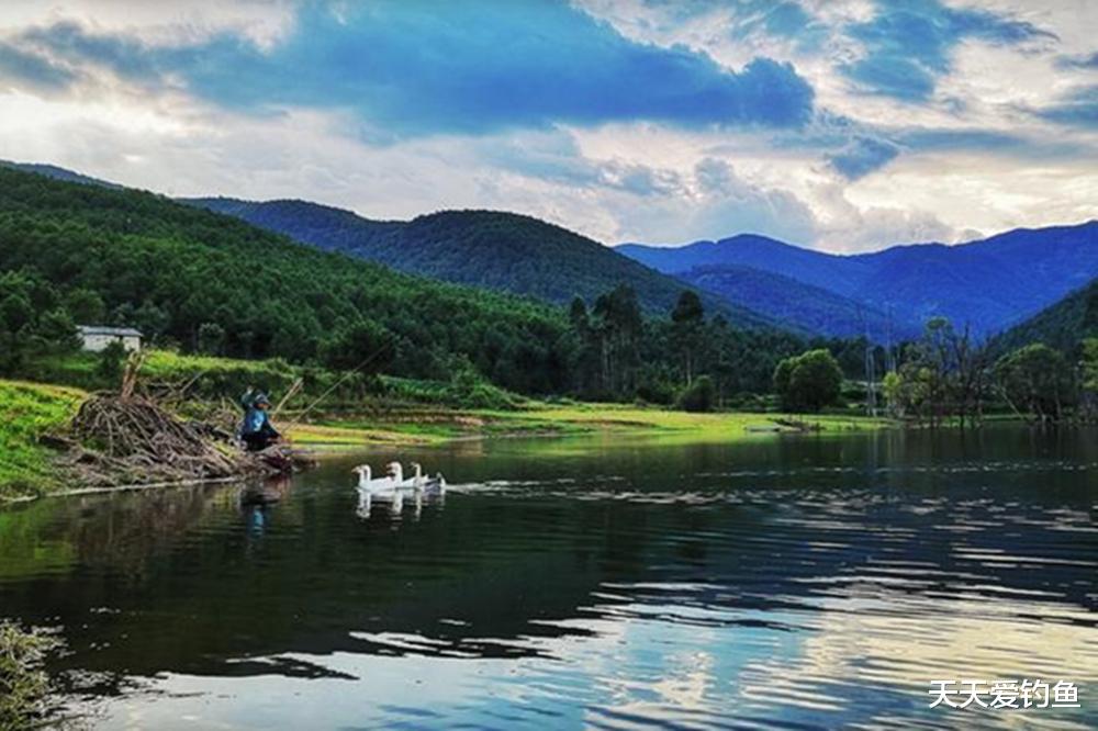 奇瑞汽车|黑坑弄虚作假,“钓中”奥迪不给兑现,钓友无奈报警