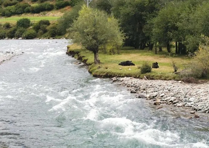 |夏季夜钓，这5种位置不宜选作钓点，你犯过这类错误吗？