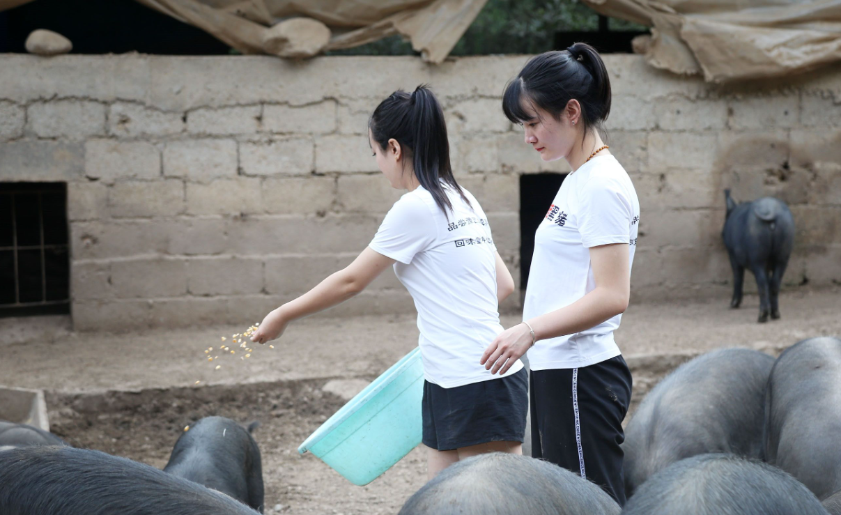 00后|“00后，社恐，反内卷”，女大学生进厂养猪，底薪4000没事就旅游