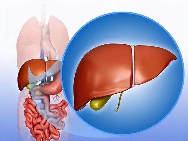肝癌|多家医院呼吁停止食用：吃一口或等于10斤“塑料袋”，对肝不利