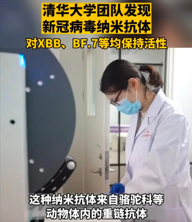 清华大学重大突破!已找到预防奥密克戎抗体,?XBB.1.5迎来克星?
