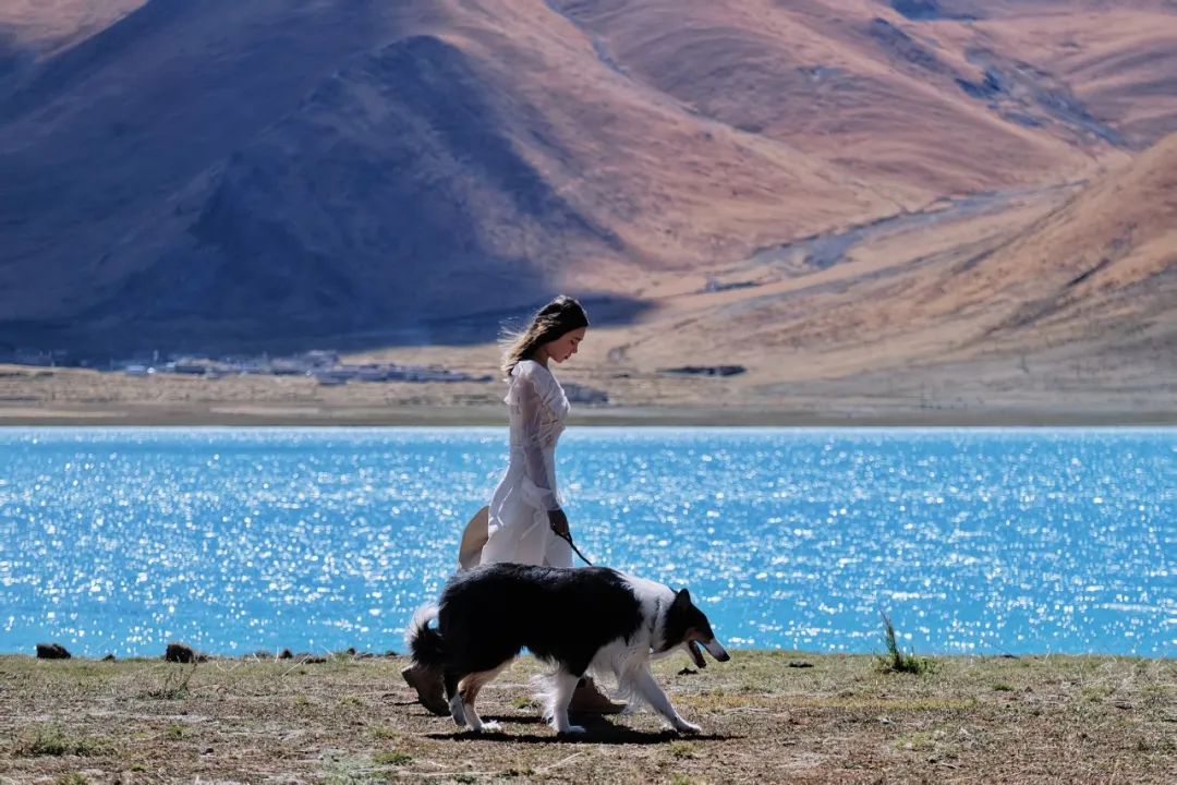 |西藏奇观“羊湖之心”已禁止进入，不明网友：为什么要禁止进入？