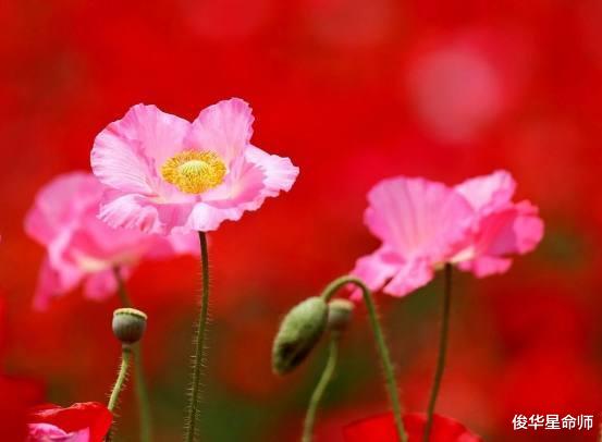 |好运不断,由低走高