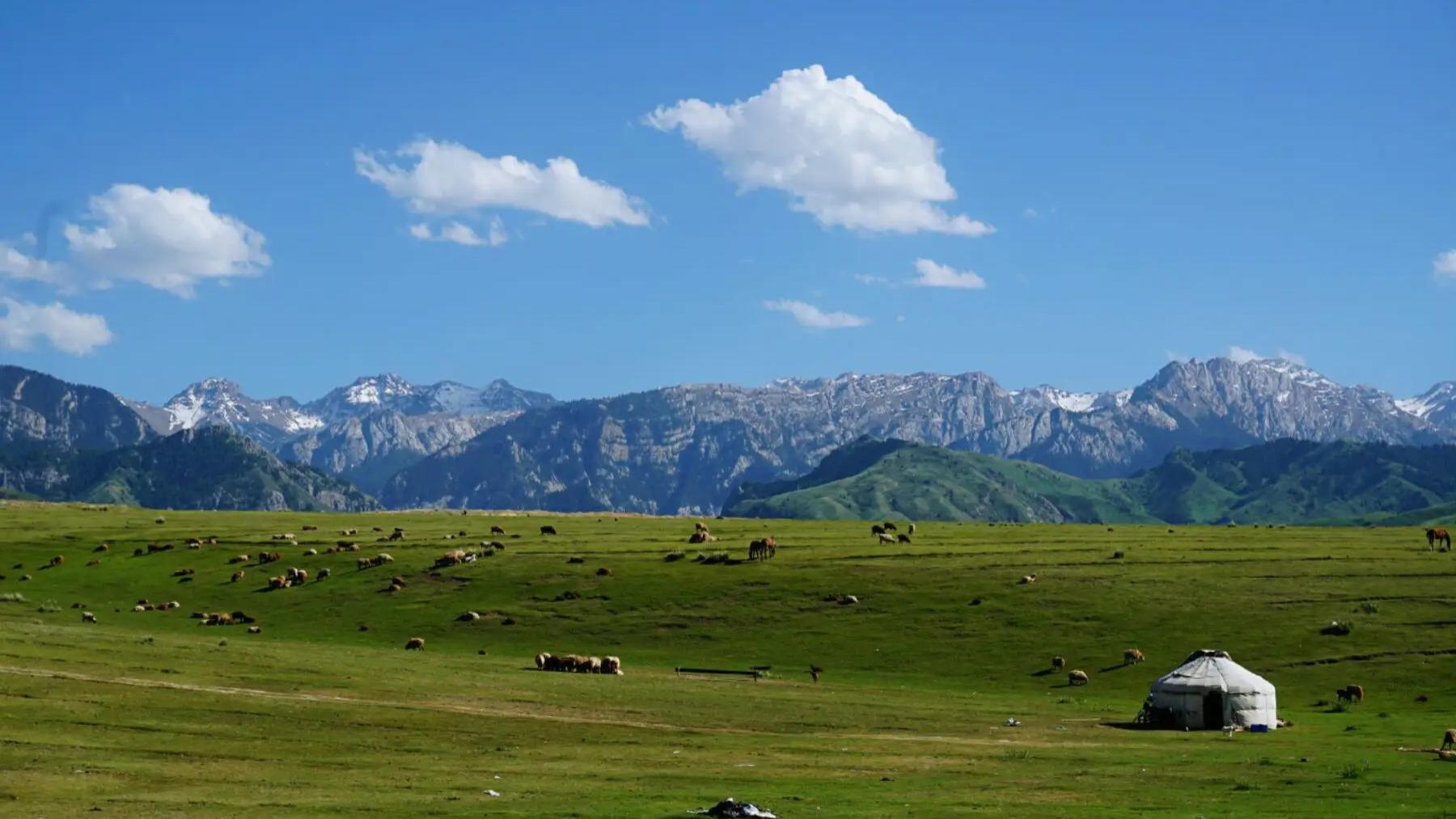 乌孙|新疆乌孙山：中国惟一用西域游牧古国命名的山脉，山不高路却极险