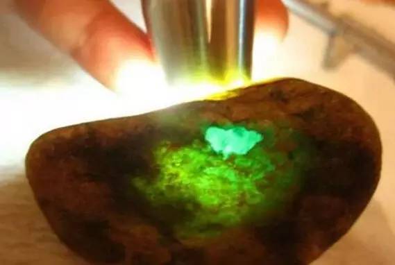 欣赏刚切开的翡翠毛料