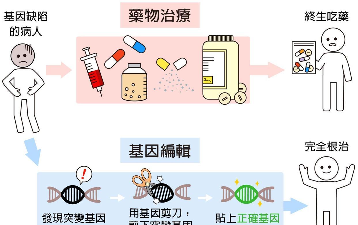 一夫一妻制导致自然选择失效,人类进化停止?研究:正在加速