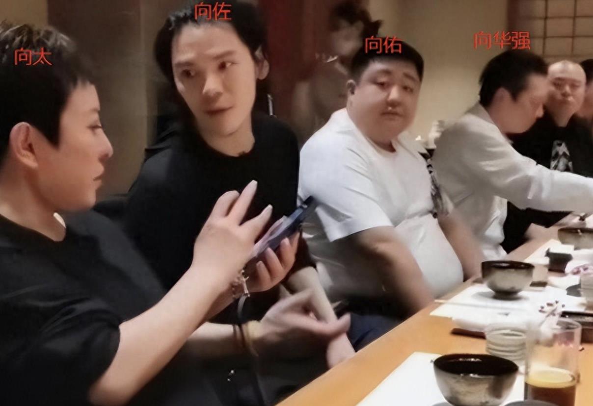 都是向华强的基因，丁佩的女儿和陈岚的儿子，差别真的好大