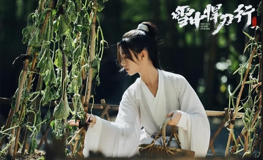 《雪中悍刀行2》宣发，裴南苇新人选被爆，观众：这才叫“床甲”！