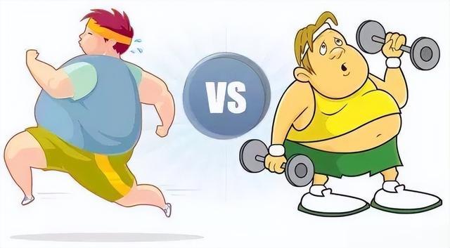 想要减肥更高效，8件事做到心里有数，才能少走弯路瘦下去