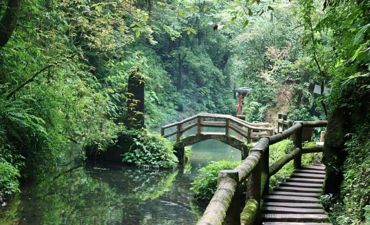 青城山|英国游客拍下四川“青城山”照片，引发热议：真的是大自然的馈赠