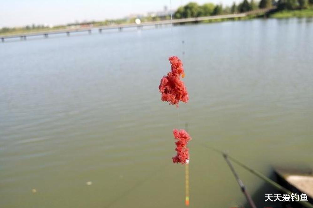 天热无大鱼可钓？那就急速钓白条，比钓大鱼更过瘾