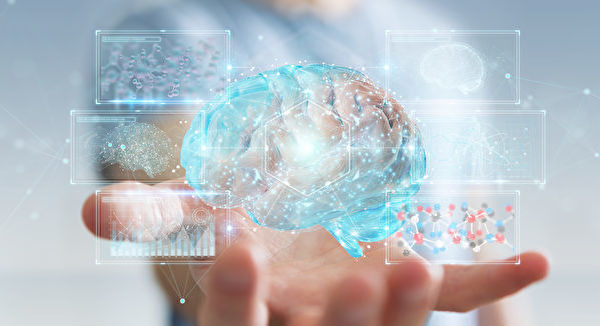 新研究发现人脑存在第四层膜 打破旧的认知