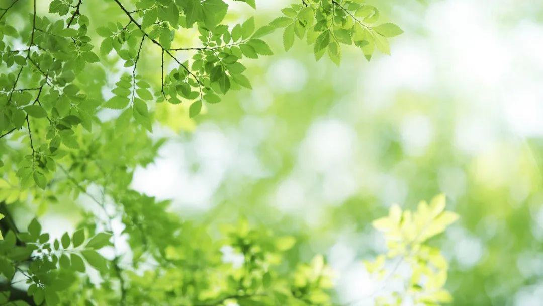 做人呐，最重要的是开心