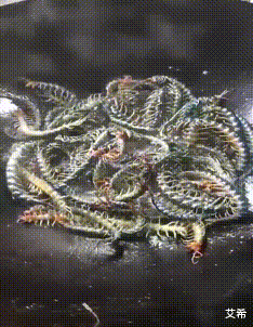 集成电路|“总经理办公室这样设计，要不要加厚隔音墙呢？”哈哈哈哈哈太有才了