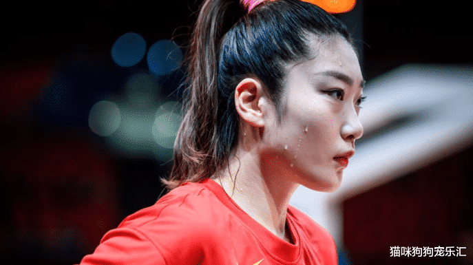 事业单位|李梦小三门大反转!已和出轨男领证结婚