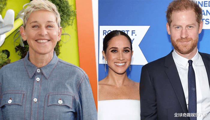 一只鸡引发的丑闻!哈里和梅根收养了辛基,王室粉丝乐不可支