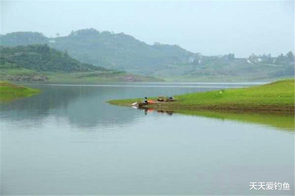|野钓鳜鱼,就用民间这种土方法,方法简单效果一流