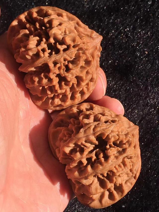 文玩核桃|送礼指南-适合送长辈的文玩核桃