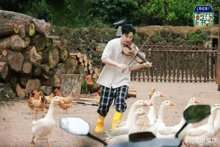 Angelababy|刘宪华回家啦！《向往的生活》回归熟悉的配方，蘑菇屋再现名场面