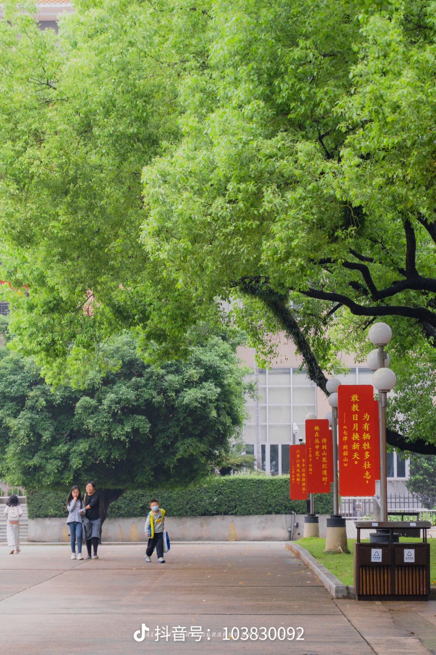 广州市|周末就来农讲所与春天撞个满怀吧！游玩攻略