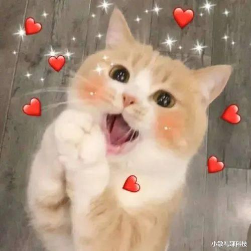 |51岁刀郎消失许久美娇妻陪同罕现身,模样变化大撞脸徐峥范伟,曾被圈内人封杀