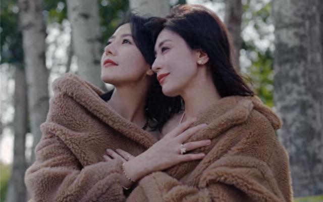 娱乐点评:肖战、刘亦菲、黄晓明、虞书欣、于和伟、贾静雯